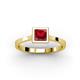 2 - Elcie Princess Cut Lab Created Ruby Solitaire Engagement Ring 