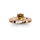 3 - Corona Citrine Solitaire Engagement Ring 