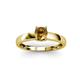 3 - Ilone Citrine Solitaire Engagement Ring 