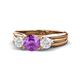 1 - Alyssa Amethyst and White Sapphire Three Stone Engagement Ring 