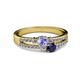 2 - Zaira Tanzanite and Blue Sapphire with Side Diamonds Split Shank Ring 