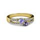 2 - Zaira Tanzanite and Iolite with Side Diamonds Split Shank Ring 