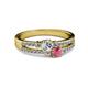 2 - Zaira Diamond and Rhodolite Garnet with Side Diamonds Split Shank Ring 