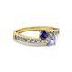 2 - Olena Iolite and Tanzanite with Side Diamonds Bypass Ring 