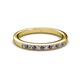 2 - Janice 1.70 mm Iolite and Diamond 13 Stone Wedding Band 