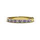 1 - Janice 2.00 mm Round Iolite and Diamond 13 Stone Wedding Band 