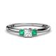 1 - Eadlin Princess Cut Diamond and Emerald Three Stone Engagement Ring 