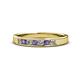 1 - Kathiryn 2.70 mm Iolite and Diamond 7 Stone Wedding Band 