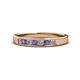 1 - Kathiryn 2.70 mm Iolite and Diamond 7 Stone Wedding Band 