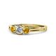 1 - Irina Diamond and Citrine Three Stone Engagement Ring 