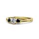 1 - Irina Black and White Diamond Three Stone Engagement Ring 