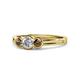 1 - Irina Diamond and Smoky Quartz Three Stone Engagement Ring 