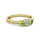 3 - Irina Diamond and Peridot Three Stone Engagement Ring 
