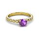 3 - Sariah Desire Amethyst and Diamond Engagement Ring 