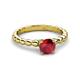 3 - Sariah Desire Ruby and Diamond Engagement Ring 