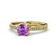 1 - Aziel Desire Amethyst and Diamond Solitaire Plus Engagement Ring 