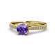 1 - Aziel Desire Iolite and Diamond Solitaire Plus Engagement Ring 