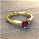 3 - Isla 5.00 mm Round  Rhodolite Garnet Solitaire Engagement Ring  