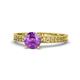 1 - Janina Classic Amethyst Solitaire Engagement Ring 