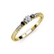 2 - Tresu Black and White Diamond Three Stone Engagement Ring 
