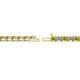 2 - Cliona 2.70 mm Yellow and White Diamond Eternity Tennis Bracelet 