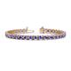 1 - Cliona 4.10 mm Tanzanite Eternity Tennis Bracelet 