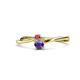 1 - Lucie 4.10 mm Bold Round Rhodolite Garnet and Iolite 2 Stone Promise Ring 