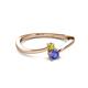 2 - Lucie 4.10 mm Bold Round Yellow Diamond and Tanzanite 2 Stone Promise Ring 