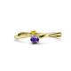 1 - Lucie 4.10 mm Bold Round Yellow Diamond and Iolite 2 Stone Promise Ring 