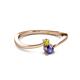 2 - Lucie 4.10 mm Bold Round Yellow Diamond and Iolite 2 Stone Promise Ring 