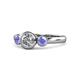 1 - Avrit Tanzanite and Lab Grown Diamond Three Stone Engagement Ring 