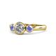 1 - Avrit Tanzanite and Lab Grown Diamond Three Stone Engagement Ring 