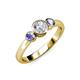 3 - Avrit Tanzanite and Lab Grown Diamond Three Stone Engagement Ring 