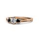 1 - Irina 0.53 ctwLab Grown Diamond With Side Black Diamond Three Stone Engagement Ring 