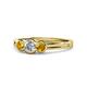 1 - Irina 0.47 ctwLab Grown Diamond With Side Citrine Three Stone Engagement Ring 