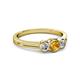 2 - Irina Citrine and Lab Grown Diamond Three Stone Engagement Ring 