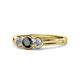 1 - Irina Black Diamond and White Lab Grown Diamond Three Stone Engagement Ring 