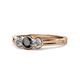 1 - Irina Black Diamond and White Lab Grown Diamond Three Stone Engagement Ring 
