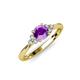 3 - Eve Signature 5.80 mm Amethyst and Diamond Engagement Ring 