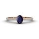 1 - Serina Classic Oval Cut Blue Sapphire and Round Diamond 3 Row Shank Engagement Ring 