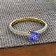 2 - Serina Classic Round Tanzanite and Diamond 3 Row Micro Pave Shank Engagement Ring 