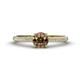1 - Serina Classic Round Smoky Quartz and Lab Grown Diamond 3 Row Micro Pave Shank Engagement Ring 