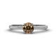 1 - Serina Classic Round Smoky Quartz and Lab Grown Diamond 3 Row Micro Pave Shank Engagement Ring 