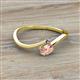 2 - Lucie Bold Oval Cut Morganite and Round Iolite 2 Stone Promise Ring 