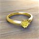 3 - Isla 5.00 mm Round  Yellow Diamond Solitaire Engagement Ring  