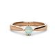 1 - Isla 5.00 mm Round  Opal Solitaire Engagement Ring  