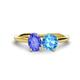 1 - Tanya Oval Shape Tanzanite & Cushion Shape Blue Topaz 2 Stone Duo Ring 