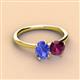 2 - Tanya Oval Shape Tanzanite & Cushion Shape Rhodolite Garnet 2 Stone Duo Ring 