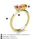 4 - Tanya Oval Shape Pink Tourmaline & Cushion Shape Citrine 2 Stone Duo Ring 