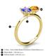 4 - Tanya Oval Shape Tanzanite & Cushion Shape Citrine 2 Stone Duo Ring 